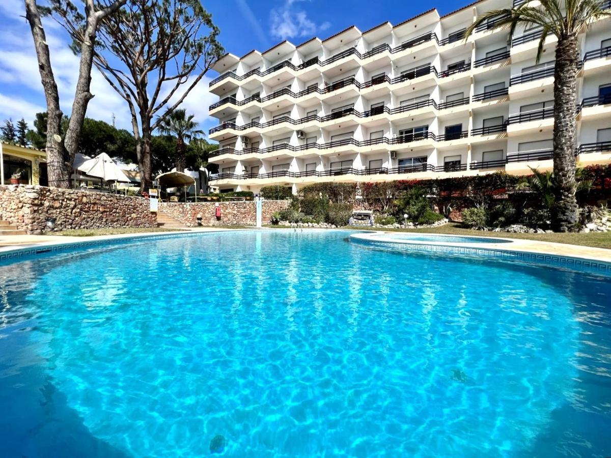 Palm Tree With Pool By Homing