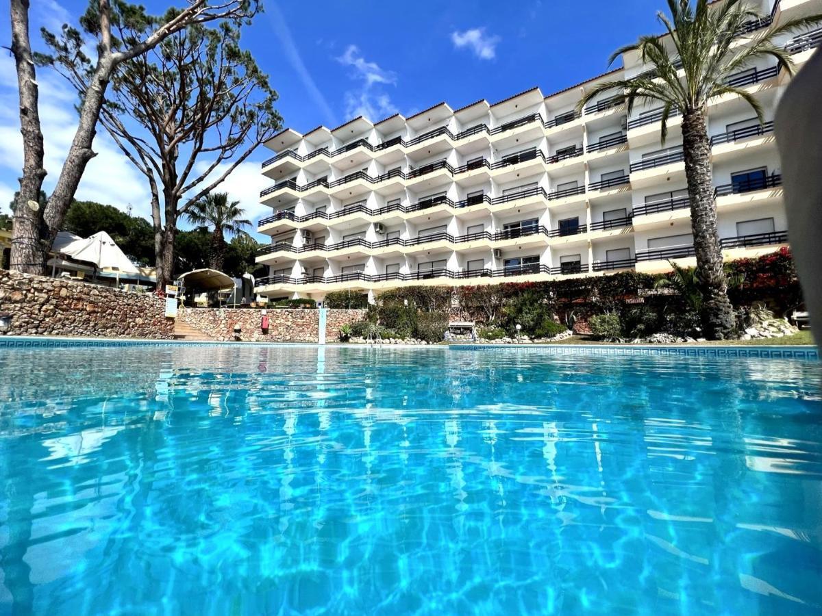Apartment Palm Tree With Pool By Homing