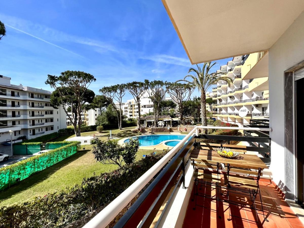 Palm Tree With Pool By Homing